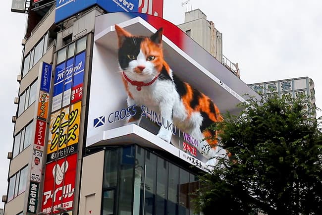 3D猫の屋外広告事例